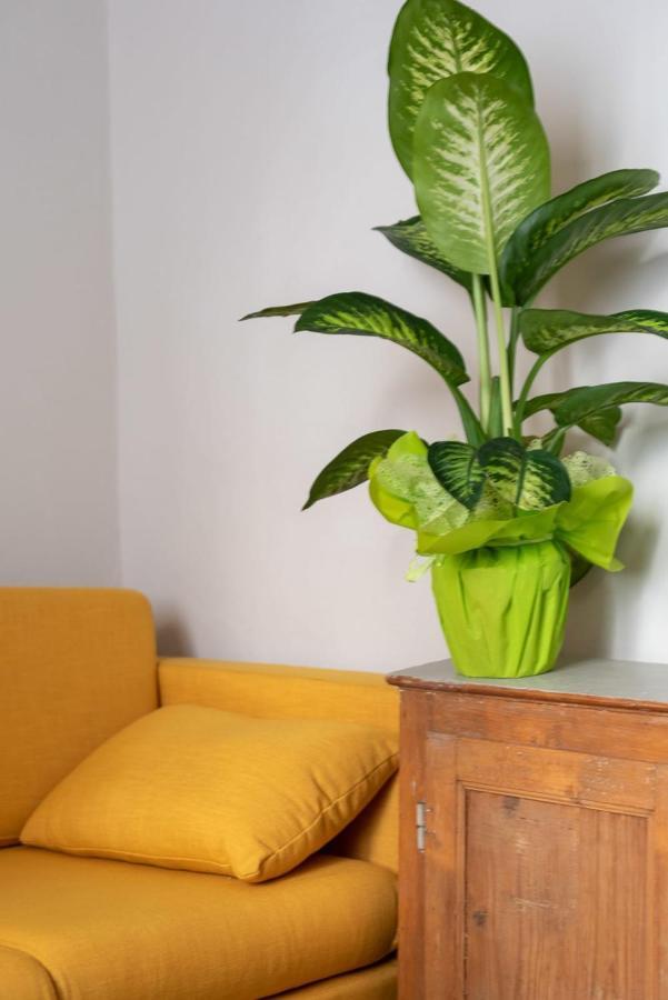 San Zanobi Family Suite In Firenze Kültér fotó